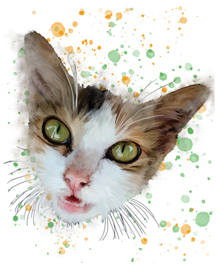 Kitty