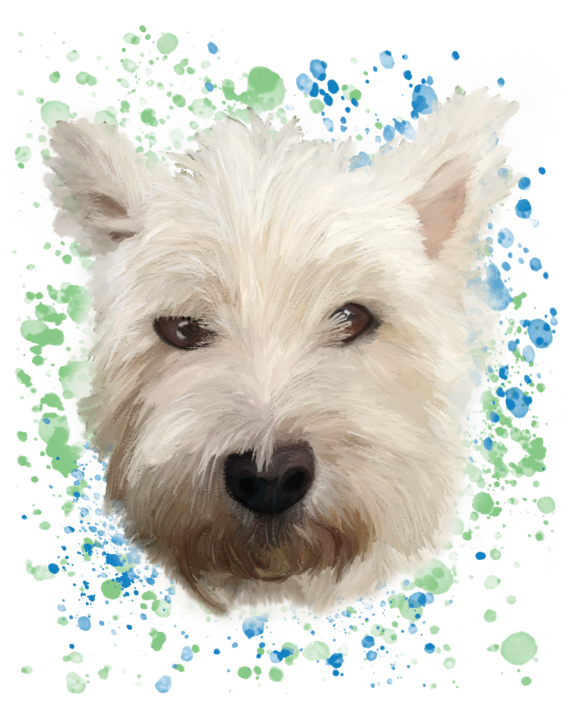 Perro
