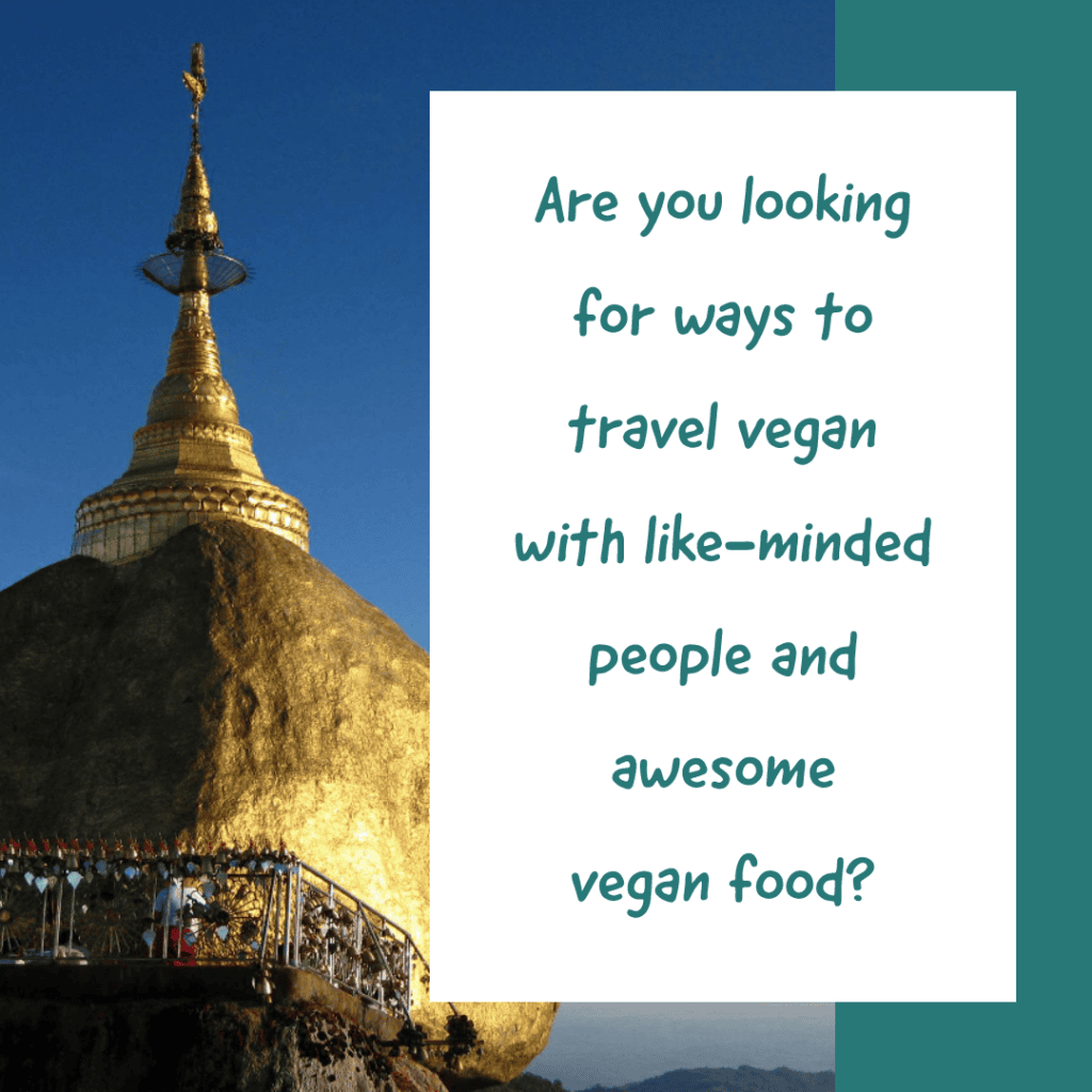 Samsara Vegan Travels Social Media Campaign