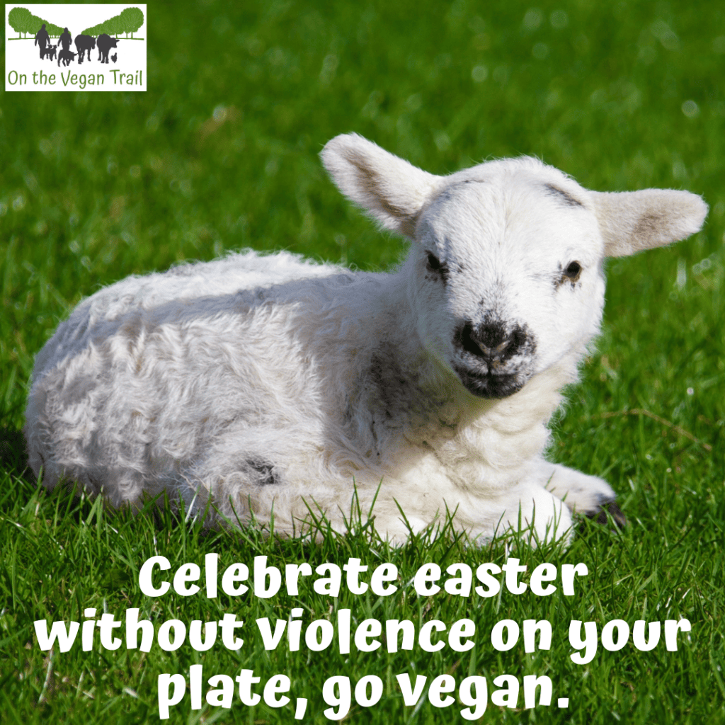 On the Vegan Trail Social Media Campaign
