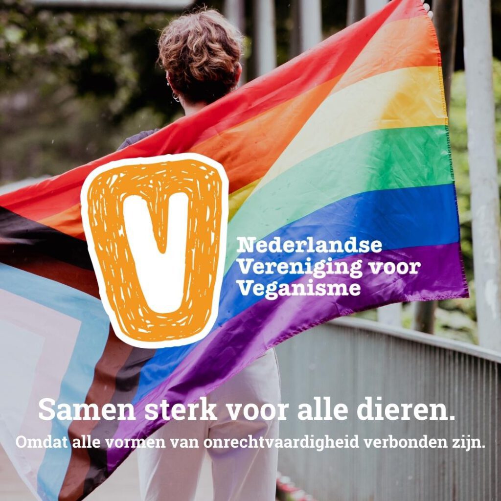 NVV Social Media Posts